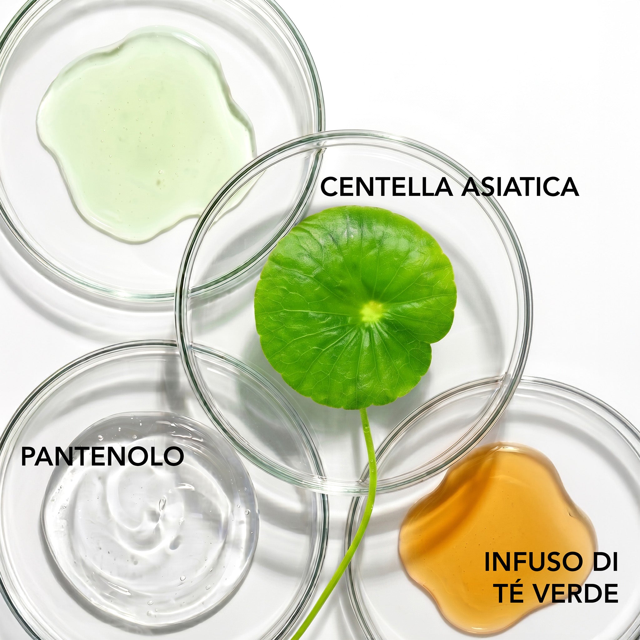 Siero Calmante alla Centella