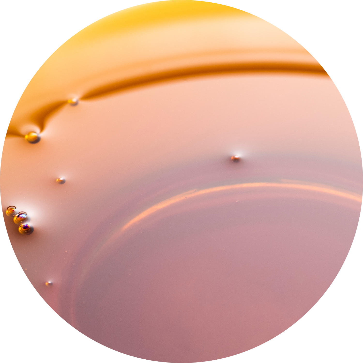 Olio-sesamo