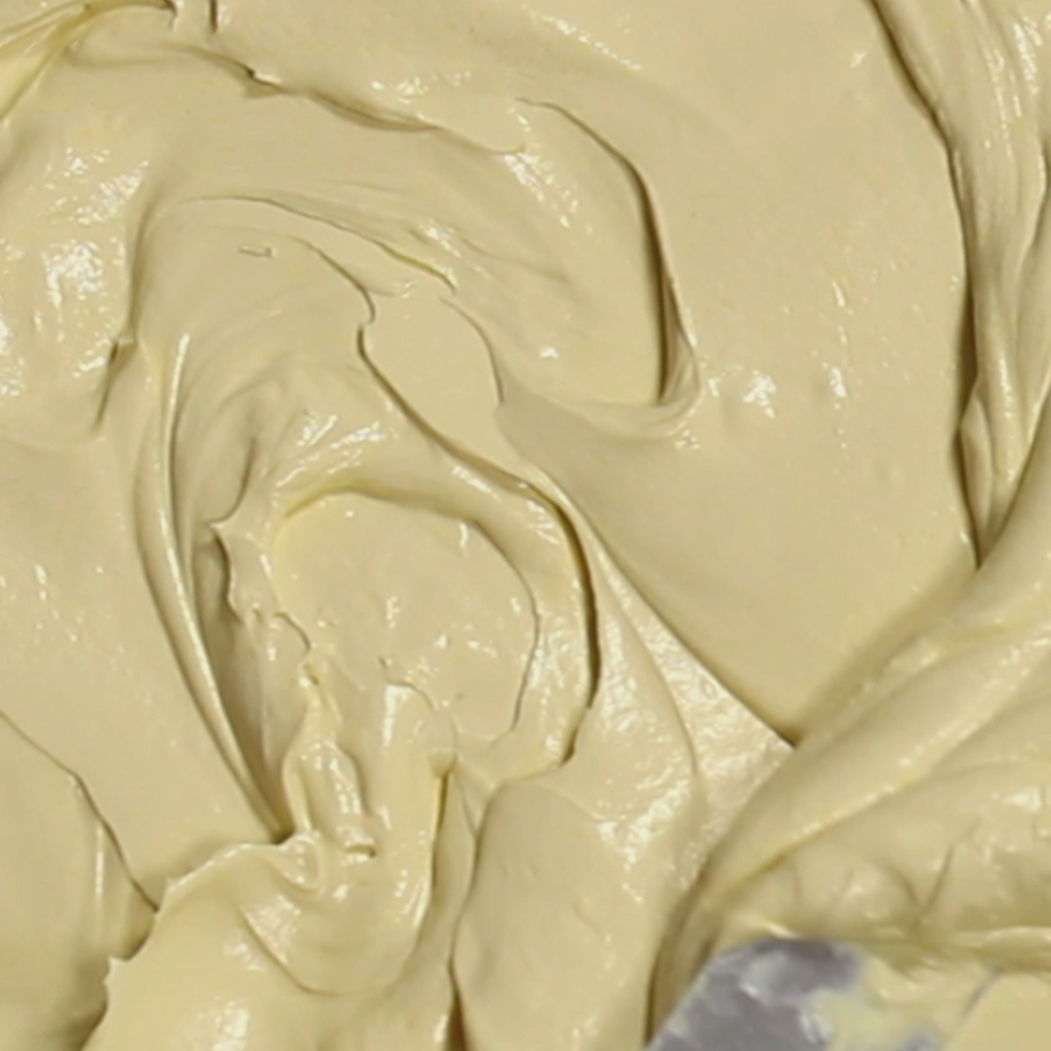 Kombucha Tea Crema Idratante Protettiva SPF 20 con infuso di Tè Nero e kombucha | 100% filtro minerale UVA +UVB ad ampio spettro