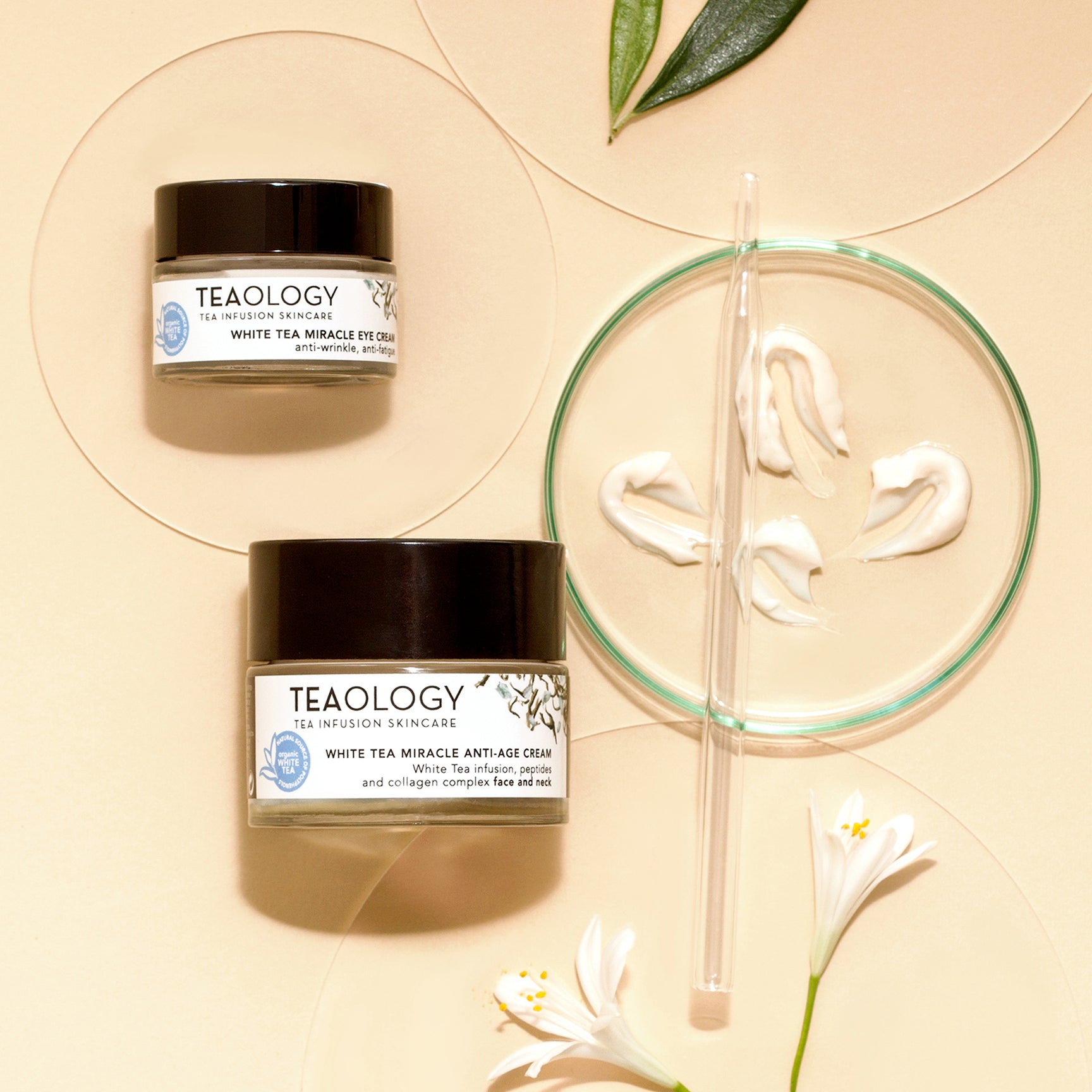 White Tea Miracle Anti-Aging Eye Cream with Peptides
