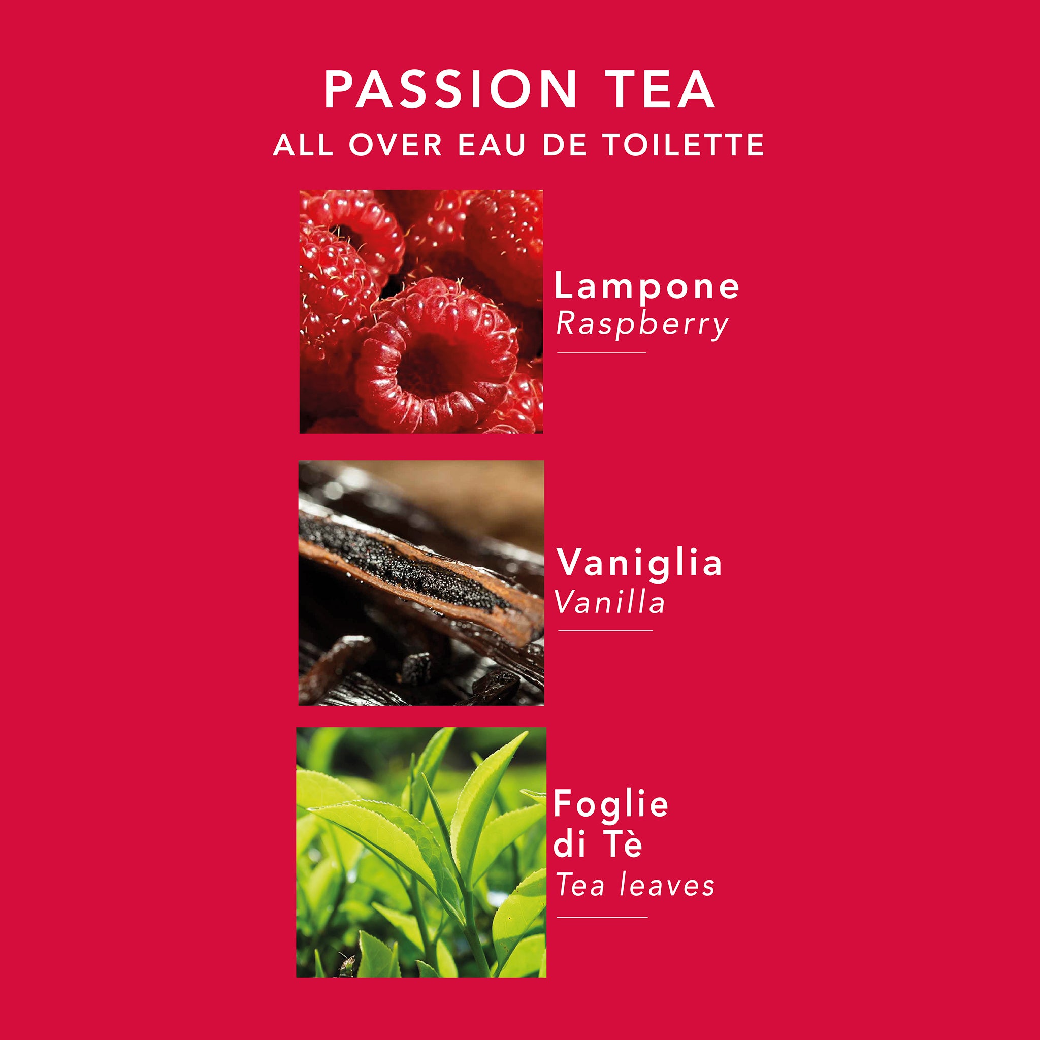 Passion Tea Eau De Toilette con lampone, vaniglia e foglie di tè - piramide olfattiva