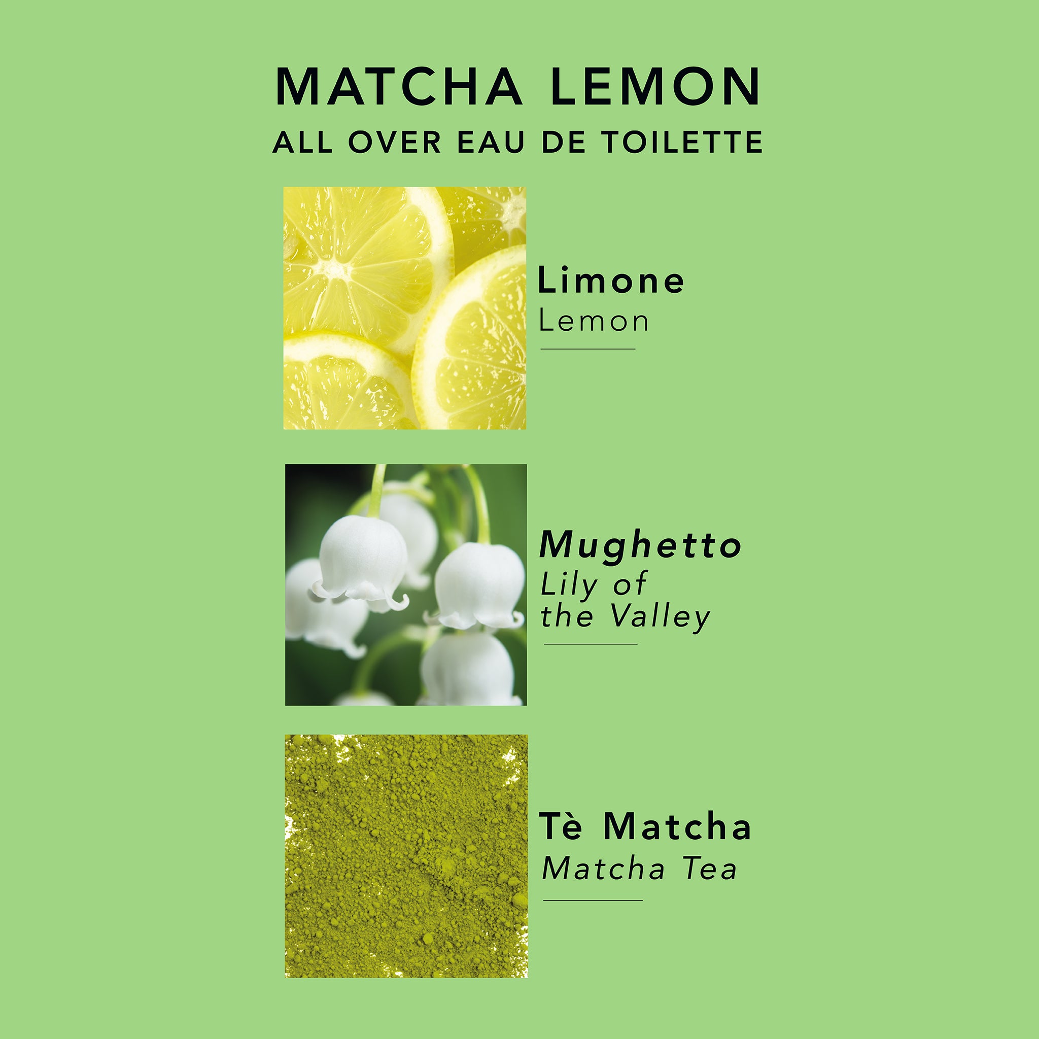 Matcha Lemon Tea Eau De Toilette piramide olfattiva