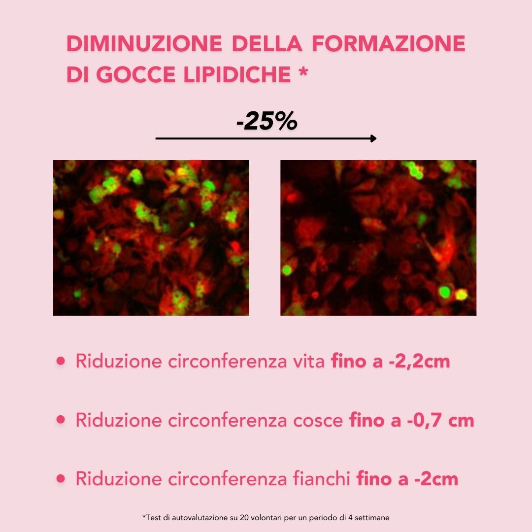 Crema rimodellante pancia e fianchi con infuso di Tè Nero e yerba mate.