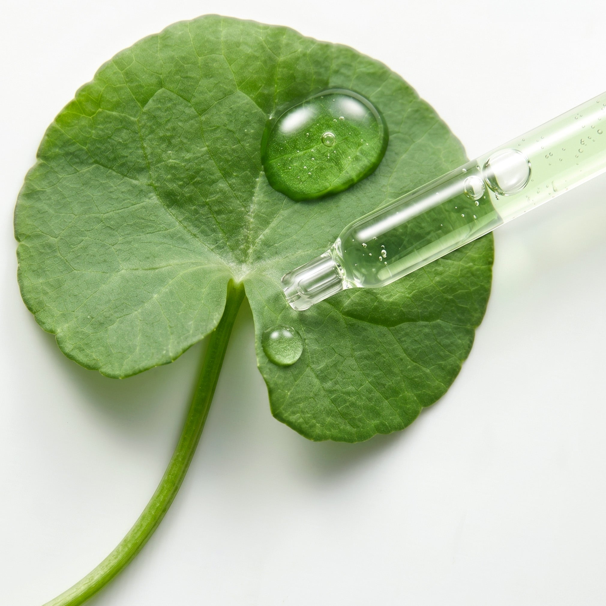 Siero Calmante alla Centella