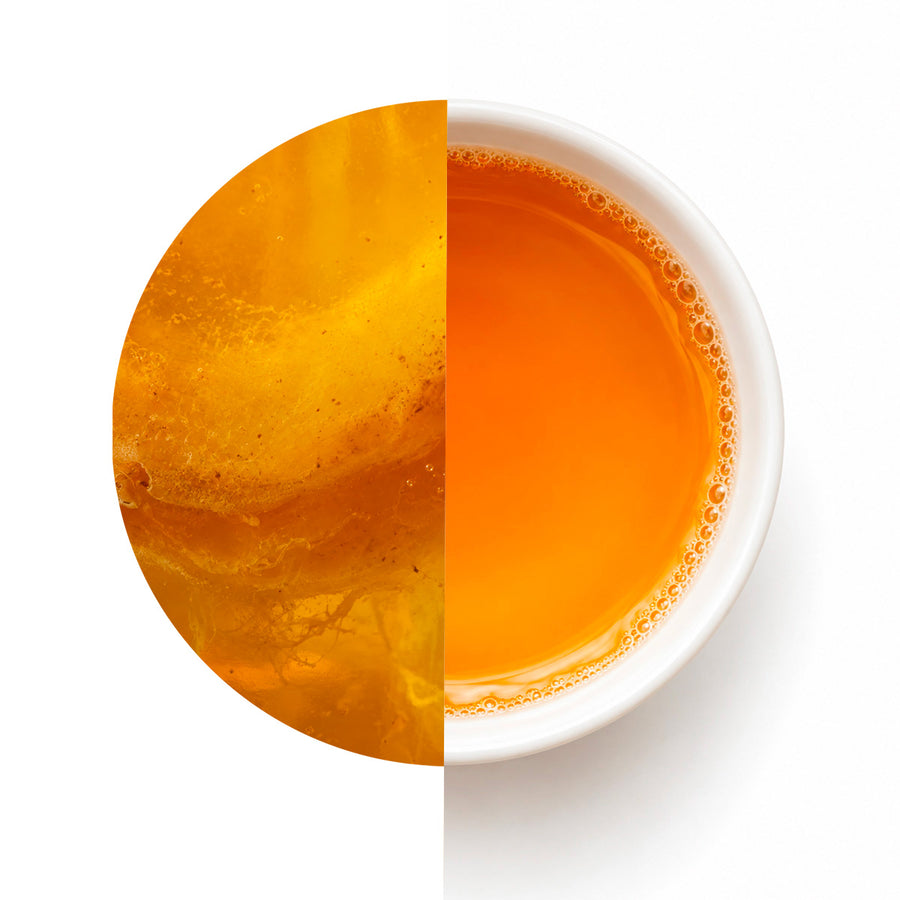 Linea Kombucha
