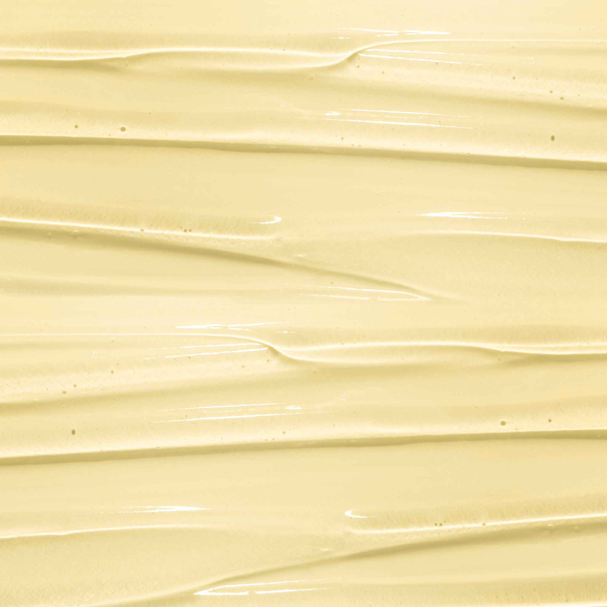 Crema kombucha viso rivitalizzante effetto filler antietà con Infuso di Tè Nero, Kombucha + EGCG.